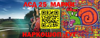 прущие грибы Кингисепп
