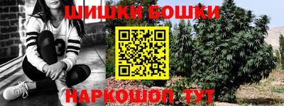 прущие грибы Кингисепп