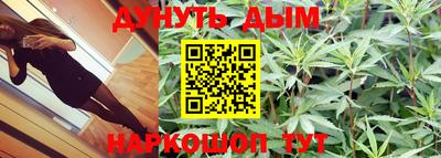прущие грибы Кингисепп