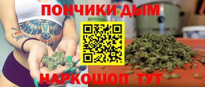 прущие грибы Кингисепп