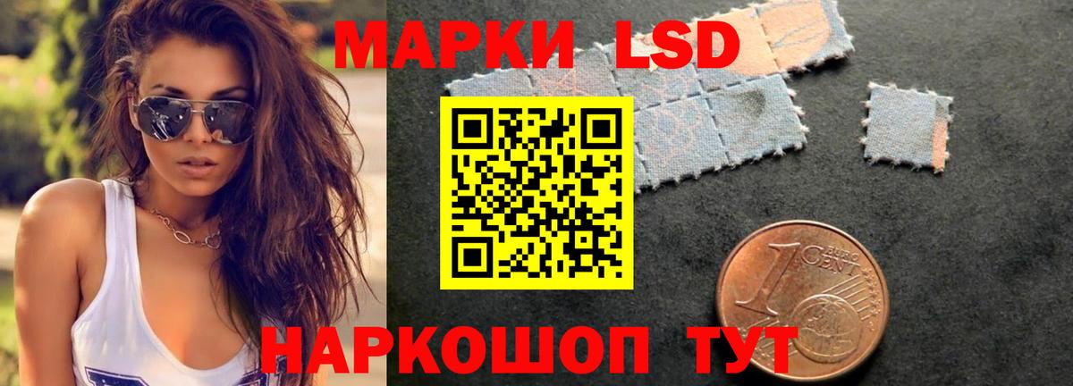 Курчатов  ЛСД экстази кислота  ЛСД экстази кислота  Вход с VPN 