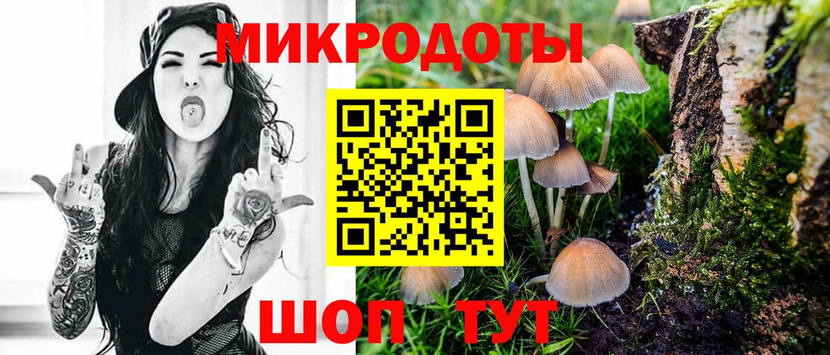 где найти   Вход с VPN  Курчатов  Галлюциногенные грибы Magic Shrooms 