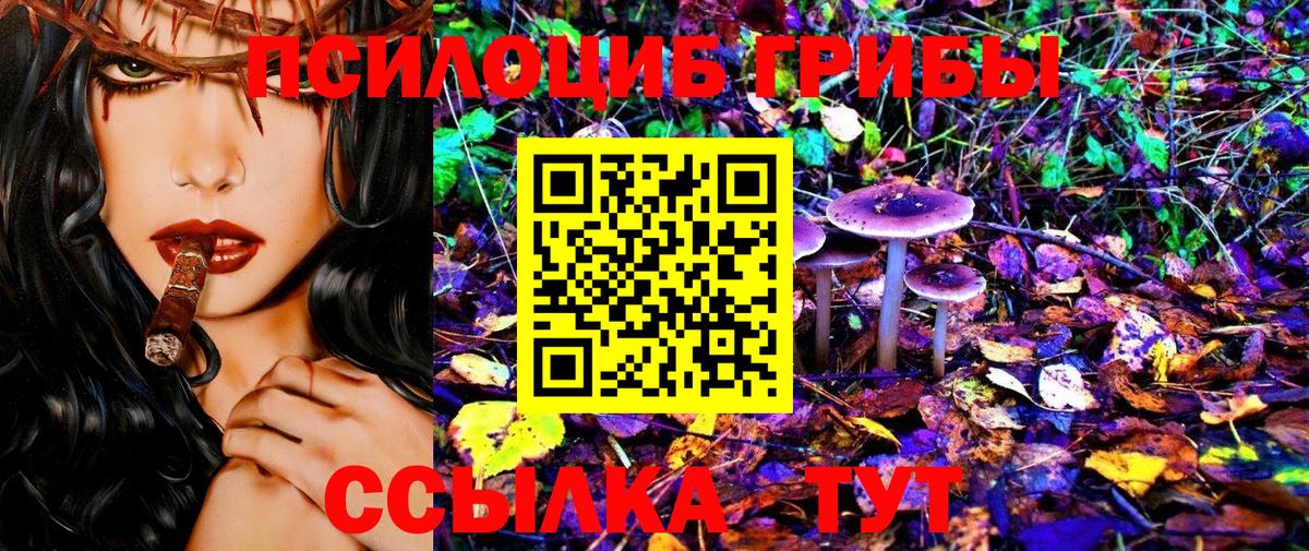 Галлюциногенные грибы GOLDEN TEACHER Курчатов