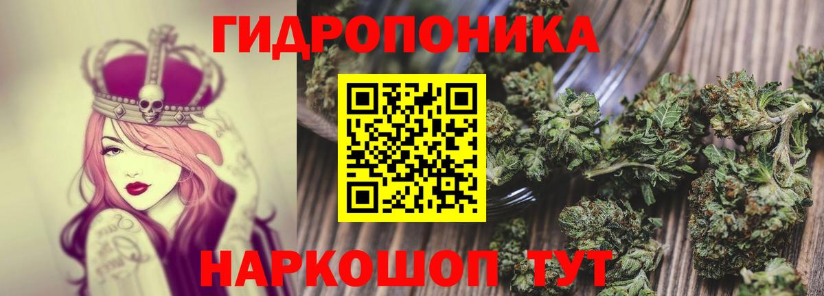 Бошки Шишки гибрид Курчатов